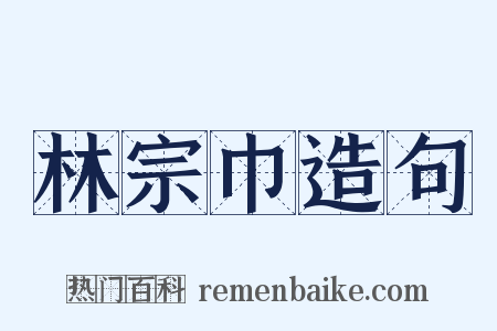 林宗巾造句是什么意思的图片